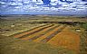 10297: South Dakota Farmland, Perkins County, South Dakota 10297: South Dakota Farmland, Perkins County, South Dakota