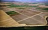 10868: Cotton Fields, Imperial County, California 10868: Cotton Fields, Imperial County, California