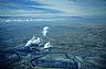 11655: Power Plant, San Juan County, New Mexico 11655: Power Plant, San Juan County, New Mexico