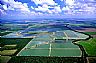 12082: Catfish Farm, Chicott County, Arkansas 12082: Catfish Farm, Chicott County, Arkansas