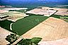 12085: North Florida Farms, Jackson County, Florida 12085: North Florida Farms, Jackson County, Florida