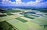 12090: Carfish Farm, Yazoo County, Mississippi 12090: Carfish Farm, Yazoo County, Mississippi