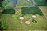 12091: Stock Ponds, Bowie County, Texas 12091: Stock Ponds, Bowie County, Texas