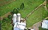 12178: Cows Come Home, Washington County, New York 12178: Cows Come Home, Washington County, New York