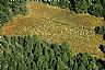 12241: Indian Cornfield, Navajo County, Arizona 12241: Indian Cornfield, Navajo County, Arizona