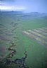 12242: South Dakota, Norhtwest, 12242: South Dakota, Norhtwest,