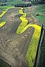 12245: Canola Swath, Garfield County, Washington 12245: Canola Swath, Garfield County, Washington