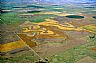 12272: Wheat Fields, Southwest Kansas 12272: Wheat Fields, Southwest Kansas