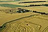 12275: Wheat Harvest, Harper County, Kansas 12275: Wheat Harvest, Harper County, Kansas
