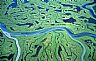 12385: Copper River Delta, Gulf of Alaska Coast 12385: Copper River Delta, Gulf of Alaska Coast