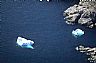 12397: Small Icebergs, Labrador Coast 12397: Small Icebergs, Labrador Coast