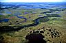12399: Wetland, Labrador 12399: Wetland, Labrador