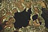 12400: Wetland, Labrador 12400: Wetland, Labrador