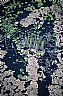 12410: Athabaska River Wetland, Northern Alberta, 12410: Athabaska River Wetland, Northern Alberta,