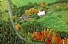 12450: Autumn Farmland, Orleans County, Vermont 12450: Autumn Farmland, Orleans County, Vermont