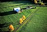12451: Autumn Farmland, Orleans County, Vermont 12451: Autumn Farmland, Orleans County, Vermont