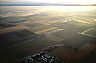 12456: Farmland Morning, San Juaquin Valley, California 12456: Farmland Morning, San Juaquin Valley, California