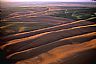12466: Hill Country, Walla Walla County, Washington 12466: Hill Country, Walla Walla County, Washington