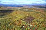 12482: Blueberry Farm, Piscataquis County, Maine 12482: Blueberry Farm, Piscataquis County, Maine