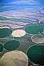 12492: Irrigation Circles, Klickitat, County, Washington 12492: Irrigation Circles, Klickitat, County, Washington