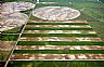 12578: Kansas Fields, Kiowa County, Kansas 12578: Kansas Fields, Kiowa County, Kansas