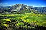 12617: Kebler Pass, Gunnison County, Colorado 12617: Kebler Pass, Gunnison County, Colorado