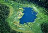 12658: Moose Meadow, British Columbia 12658: Moose Meadow, British Columbia