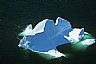 12823: Atlantic Iceberg, Sea of Labrador 12823: Atlantic Iceberg, Sea of Labrador