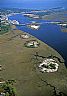 12934: Hummocks, Franklin County, Florida 12934: Hummocks, Franklin County, Florida