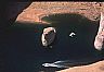 12968: Lake Powell, Kane County, Utah 12968: Lake Powell, Kane County, Utah