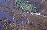 12988: Pelican Flight, Dixie County, Florida 12988: Pelican Flight, Dixie County, Florida