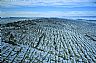 13000: Devil's Garden, Grand County, Utah 13000: Devil's Garden, Grand County, Utah