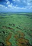 13251: Everglades, Monroe County, Florida 13251: Everglades, Monroe County, Florida