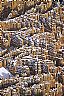 13261: Bryce Canyon, Garfield County, Utah 13261: Bryce Canyon, Garfield County, Utah