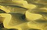 13266: Pismo Dunes, San Luis Obispo County, California 13266: Pismo Dunes, San Luis Obispo County, California