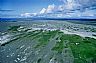 13399: Yakataga Beach, West of Village of Yakataga, Alaska 13399: Yakataga Beach, West of Village of Yakataga, Alaska