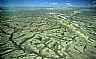 13429: Cyclone Rim, Sweetwater County, Wyoming 13429: Cyclone Rim, Sweetwater County, Wyoming