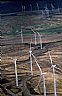 13496: Wind Farm, Klickitat County, Wasnington 13496: Wind Farm, Klickitat County, Wasnington