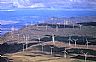 13497: Wind Farm, Klickitat County, Wasnington 13497: Wind Farm, Klickitat County, Wasnington