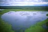 13500: Small Lake, Alaska 13500: Small Lake, Alaska