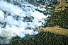 13548: Tercio Wildfire, Las Animas County, Colorado 13548: Tercio Wildfire, Las Animas County, Colorado