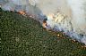 13551: Cimarron Wildfire, Colfax County, New Mexico 13551: Cimarron Wildfire, Colfax County, New Mexico