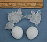 13628: Crystaline Hail Stones, Pueblo County, Colorado