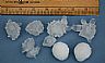 13629: Crystaline Hail Stones, Pueblo County, Colorado