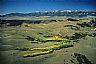 13647: Wet Mountain Valley, Saguache County, Colorado