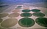 13794: Irrigation Circles, La Paz County, Arizona 13794: Irrigation Circles, La Paz County, Arizona