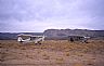 13798: Huskys @ Grand Gulch, Mohave County, Arizona 13798: Huskys @ Grand Gulch, Mohave County, Arizona