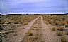13799: Grand Gulch Landing Strip, Mohave County, Arizona 13799: Grand Gulch Landing Strip, Mohave County, Arizona