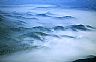13858: Fog Over Laird River, Northern British Columbia. 13858: Fog Over Laird River, Northern British Columbia.