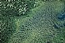 13866: Marshland, Labrador 13866: Marshland, Labrador